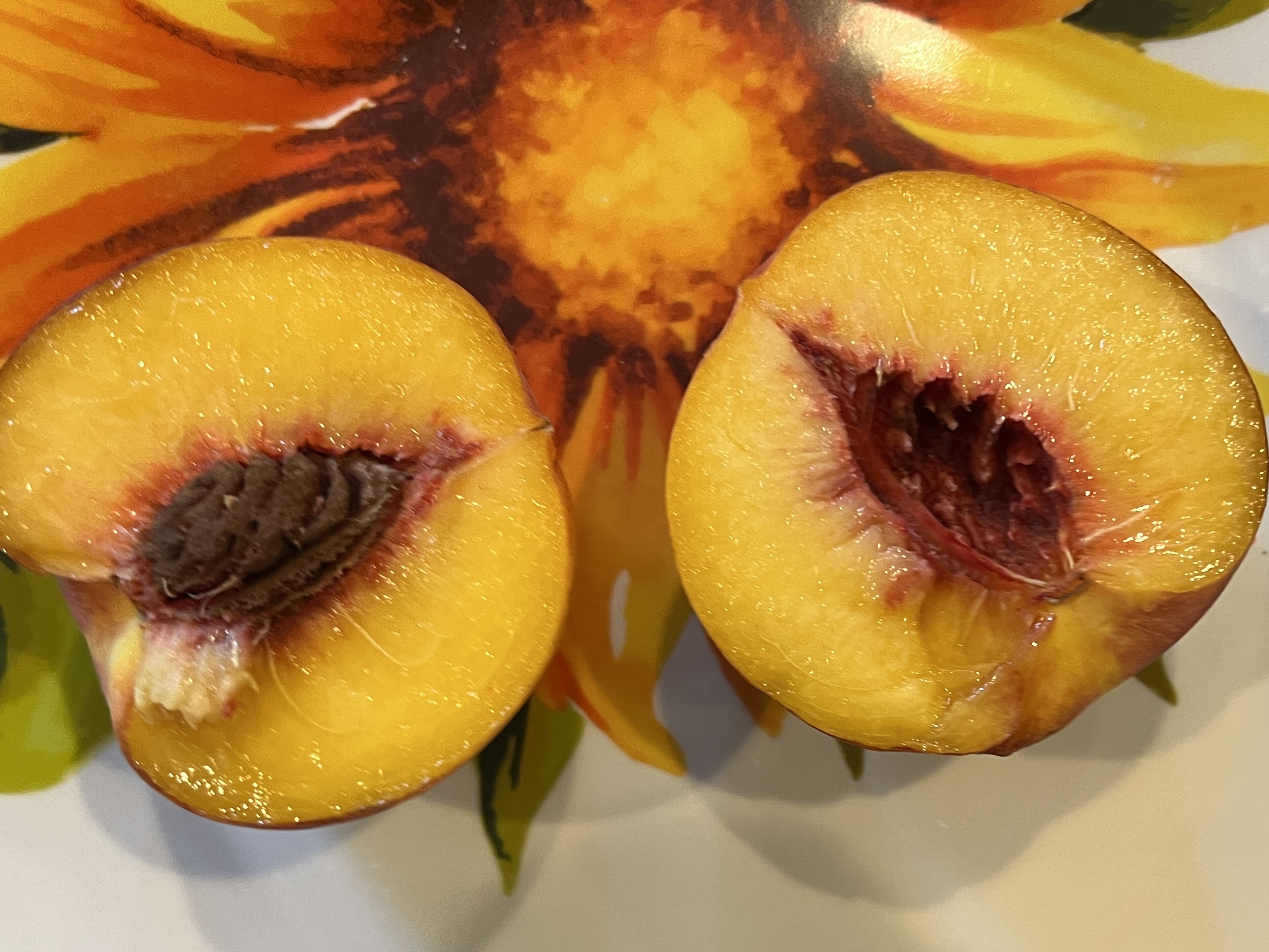 Tan And Peaches Time of Year